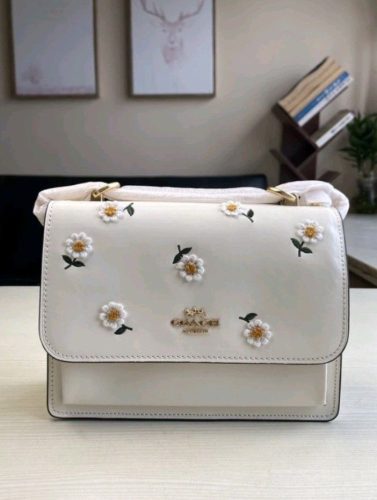 Co 00125 handbag photo review